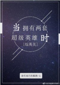 （綜英美同人）當擁有兩套超級英雄時[綜英美] 